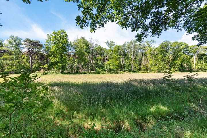 Foto 48 van Nij Amerika 20