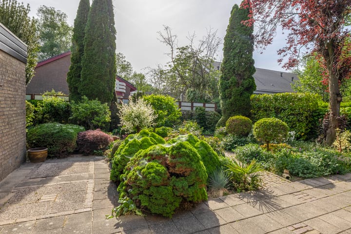 Foto 43 van Sintelbaan 14