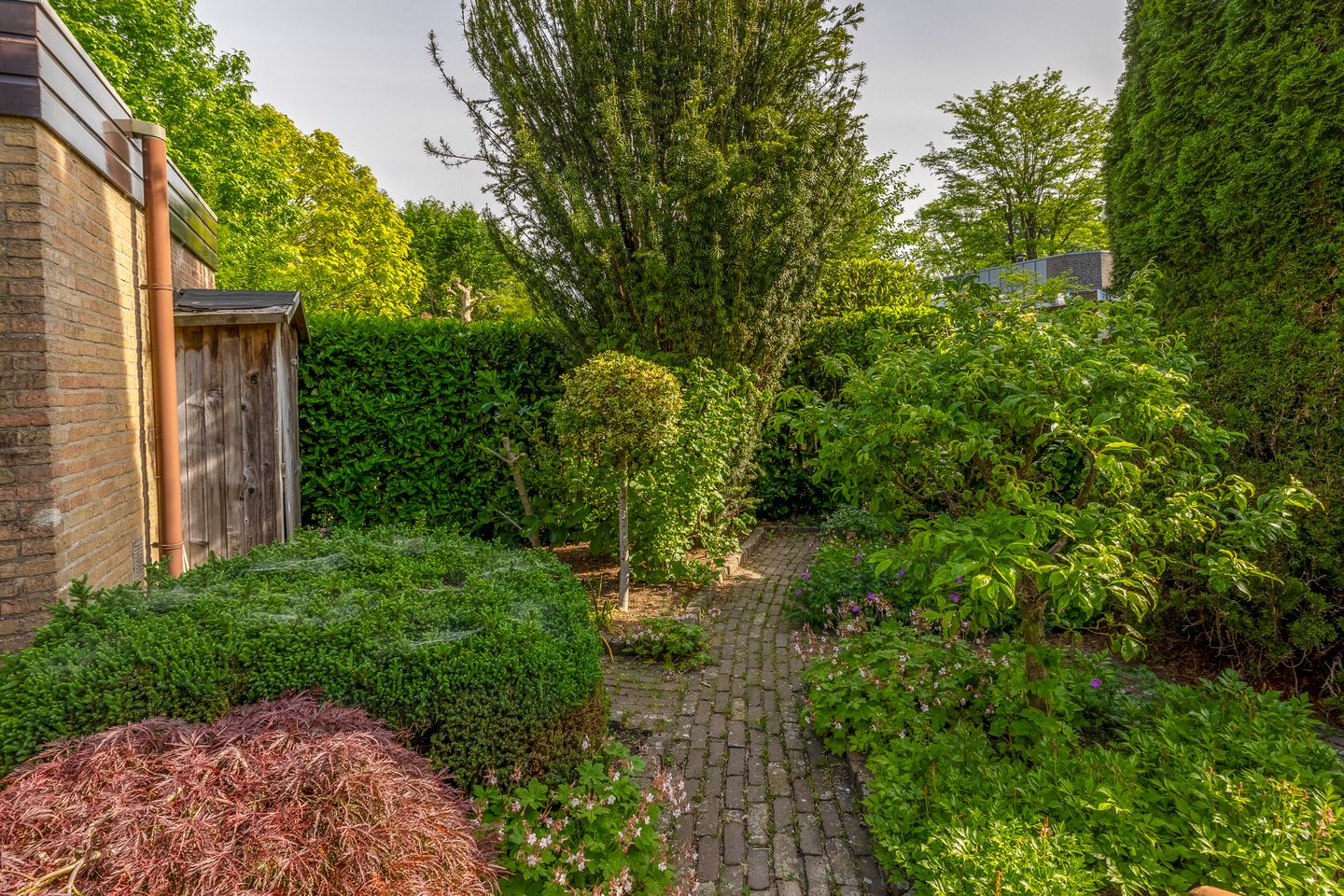 Foto 44 van Sintelbaan 14