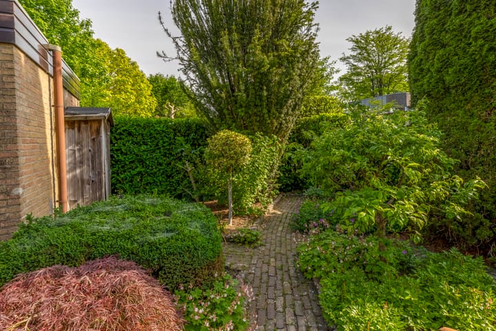 Foto 44 van Sintelbaan 14