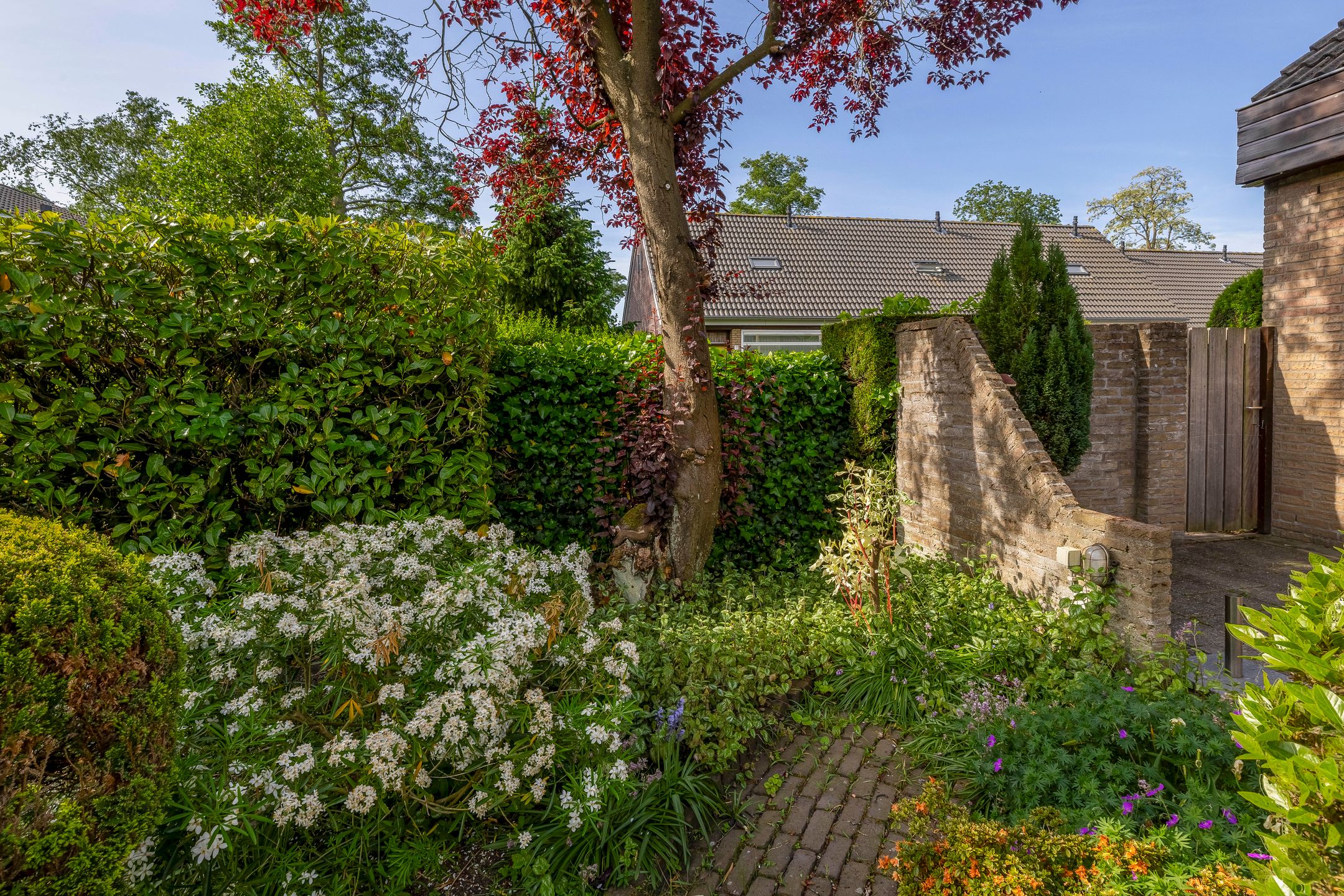 Foto 45 van Sintelbaan 14