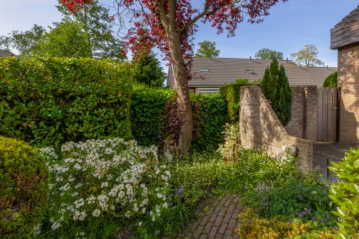 Foto 45 van Sintelbaan 14