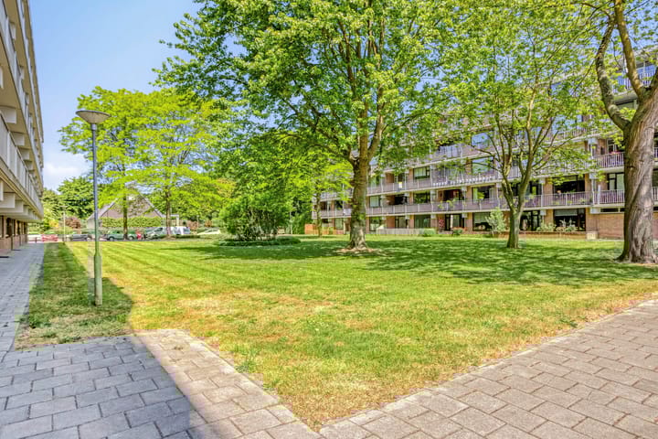 Foto 3 van Witte de Withstraat 71