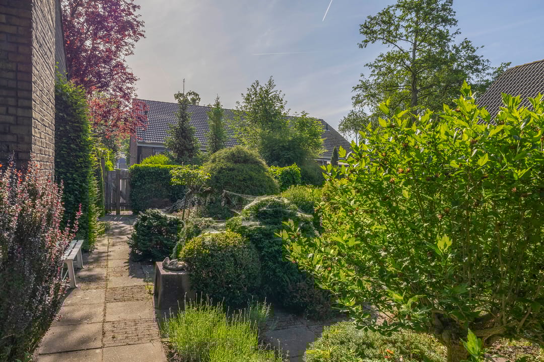 Foto 47 van Sintelbaan 14