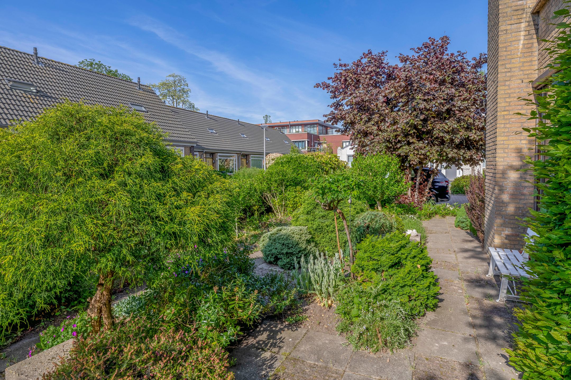 Foto 48 van Sintelbaan 14