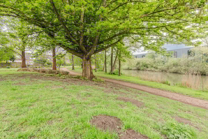 Foto 37 van Roggekamp 87