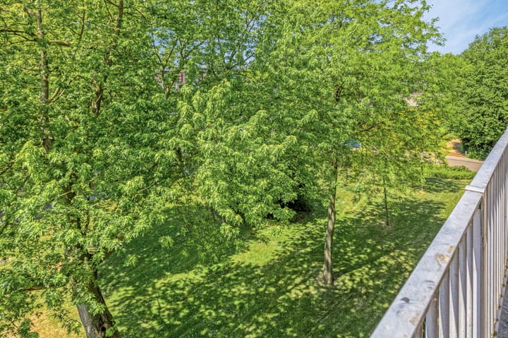 Foto 20 van Witte de Withstraat 71