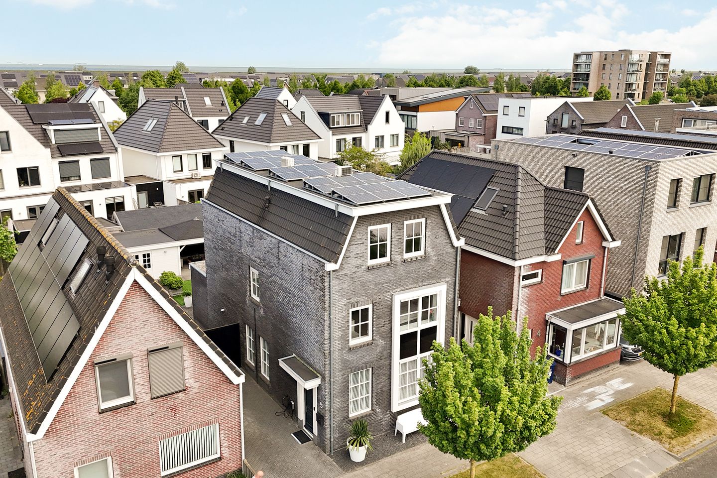 Foto 4 van Stellingsteek 5