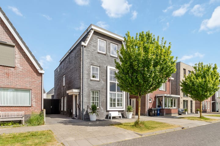 Foto 5 van Stellingsteek 5