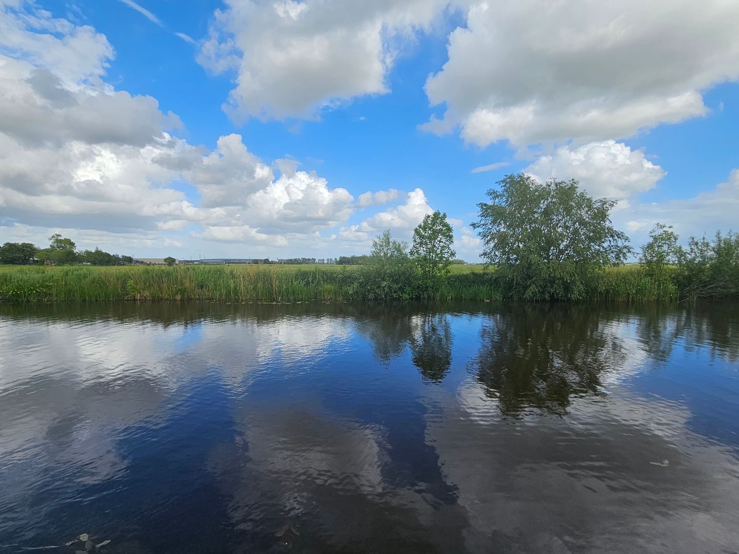 Foto 40 van Munnikevaart 8