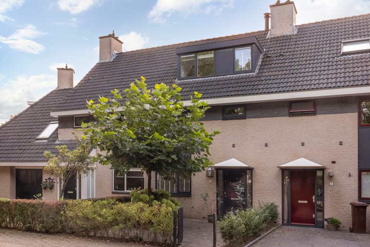 Foto 1 van Vrouwenmantel 6