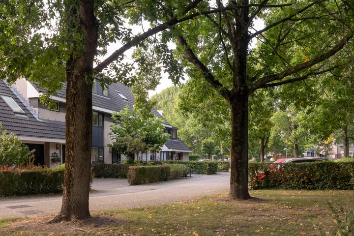 Foto 2 van Vrouwenmantel 6