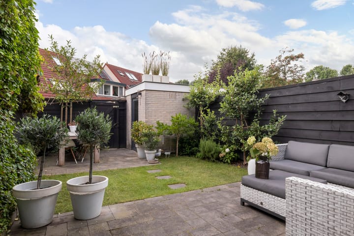 Foto 11 van Vrouwenmantel 6