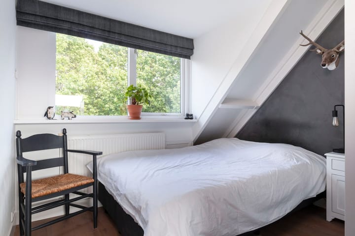 Foto 24 van Vrouwenmantel 6