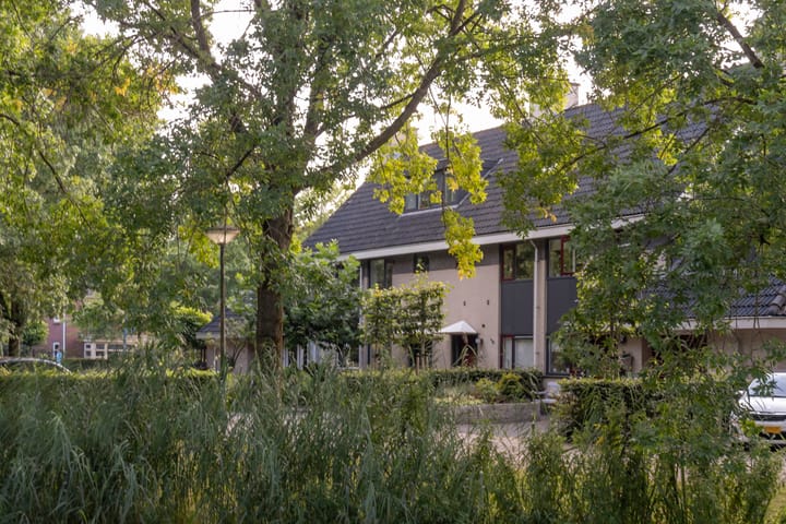 Foto 26 van Vrouwenmantel 6