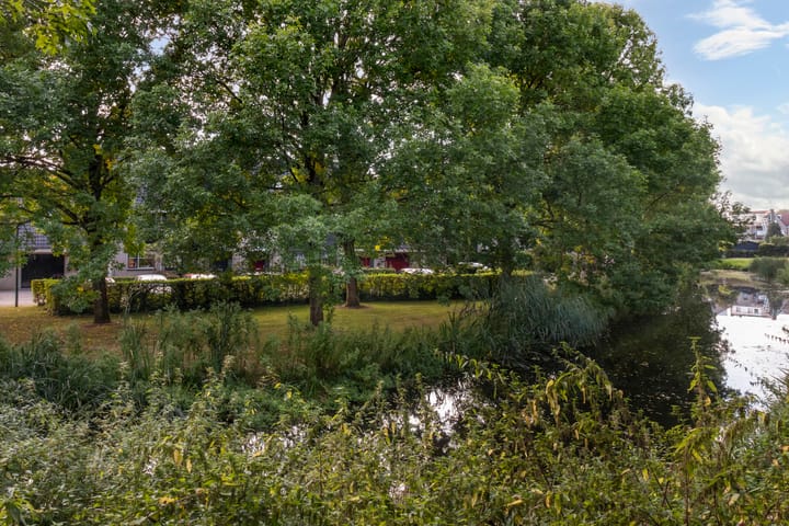 Foto 27 van Vrouwenmantel 6