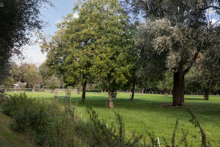 Foto 28 van Vrouwenmantel 6