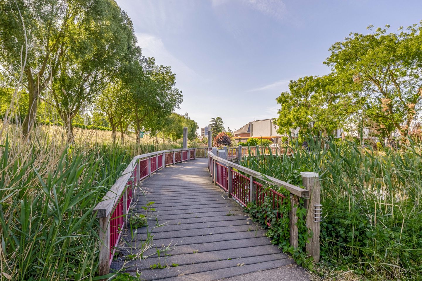 Foto 49 van Paganinistraat 48