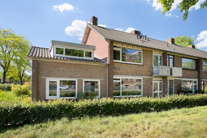 Foto 1 van Maassingel 61