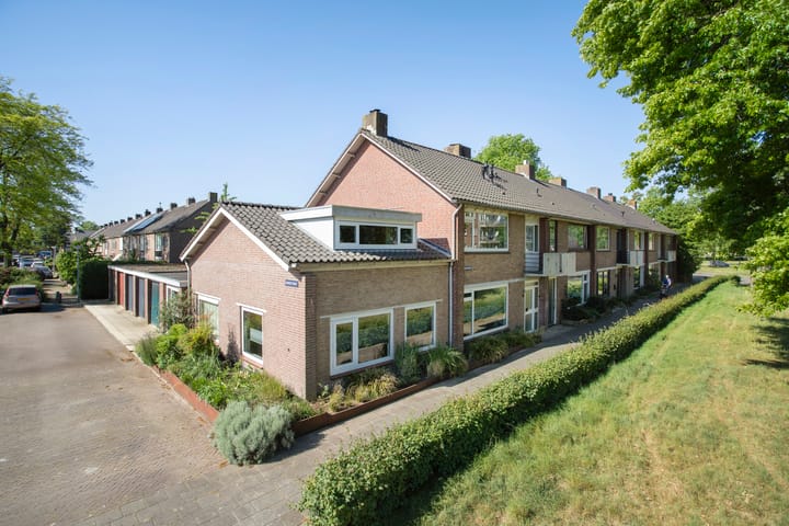 Foto 2 van Maassingel 61