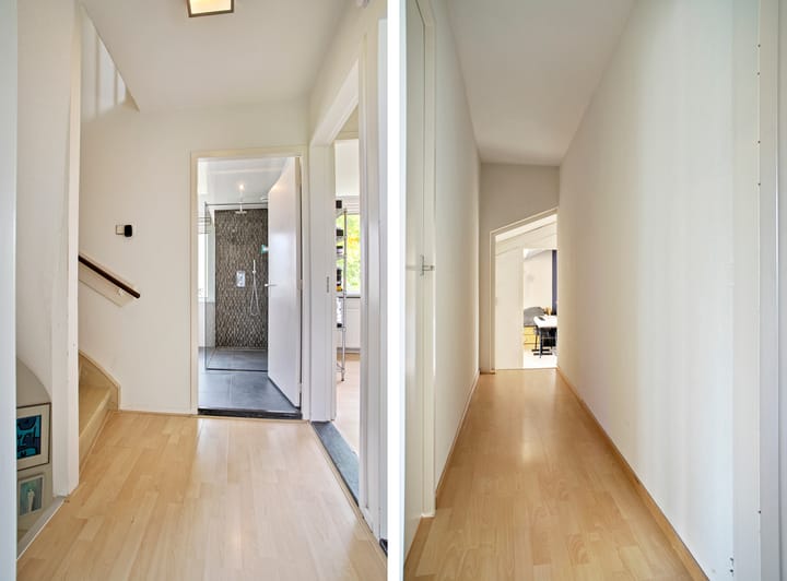 Foto 30 van Maassingel 61