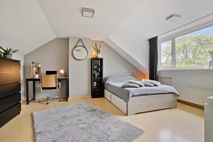 Foto 43 van Maassingel 61