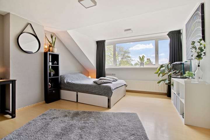 Foto 42 van Maassingel 61