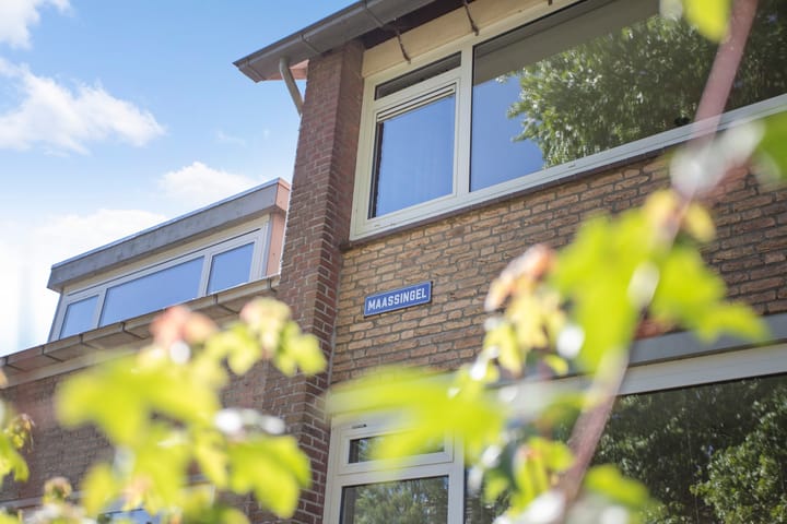 Foto 52 van Maassingel 61