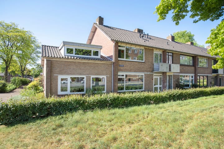 Foto 55 van Maassingel 61