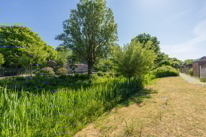 Foto 26 van Venus 22