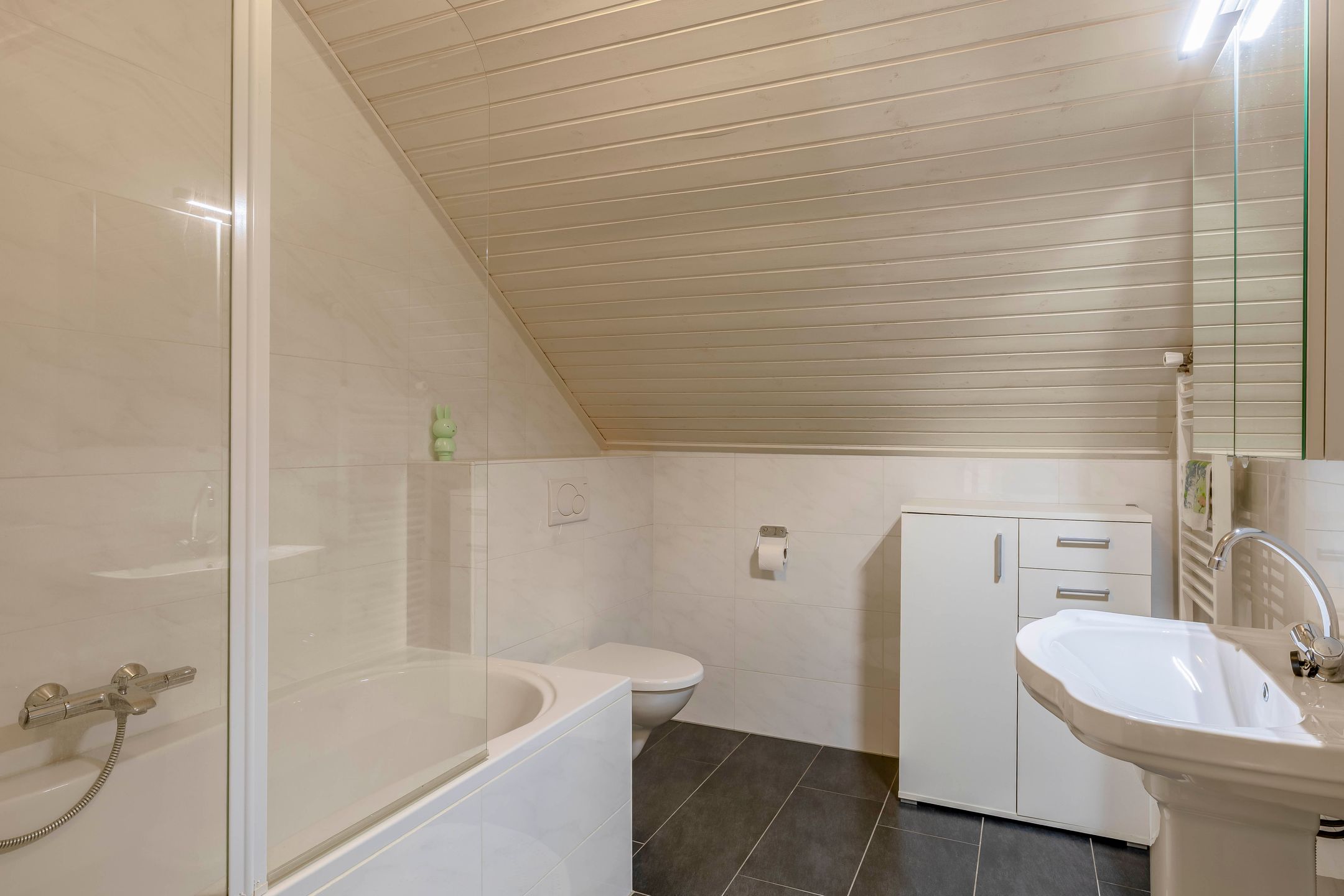 Foto 45 van Van Maerlantpark 58