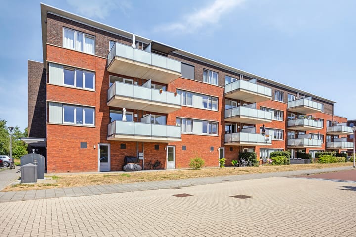 Foto 1 van Buxushaag 88