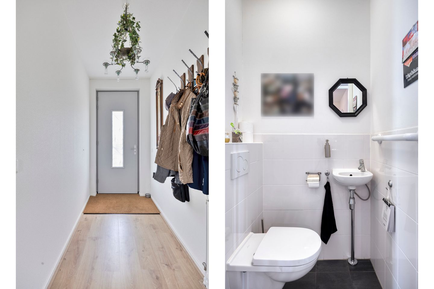 Foto 5 van Buxushaag 88