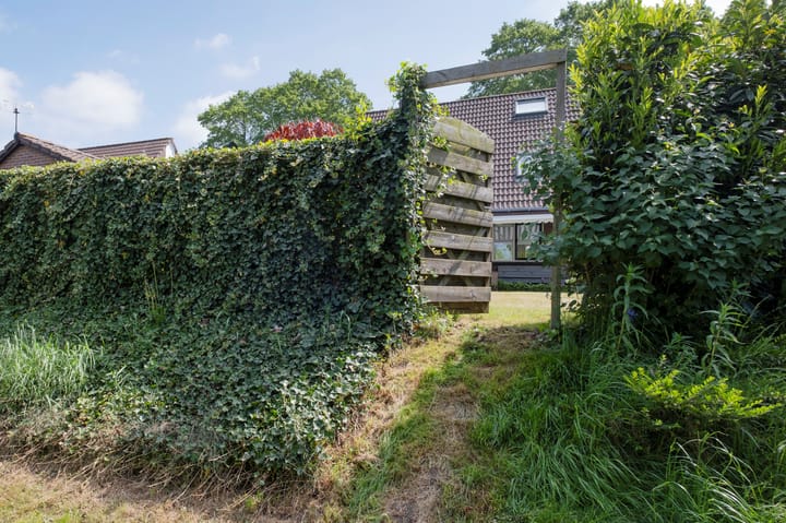 Foto 43 van Vrijdal 37