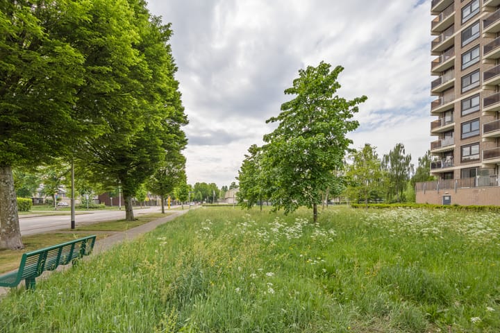 Foto 36 van Lodewijkdonk 41