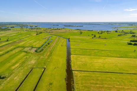 Leeuwte 51 secondary image