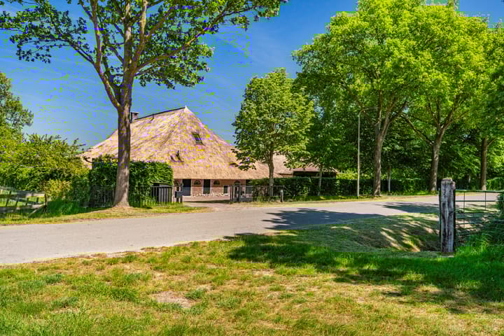 Foto 6 van Leeuwte 51