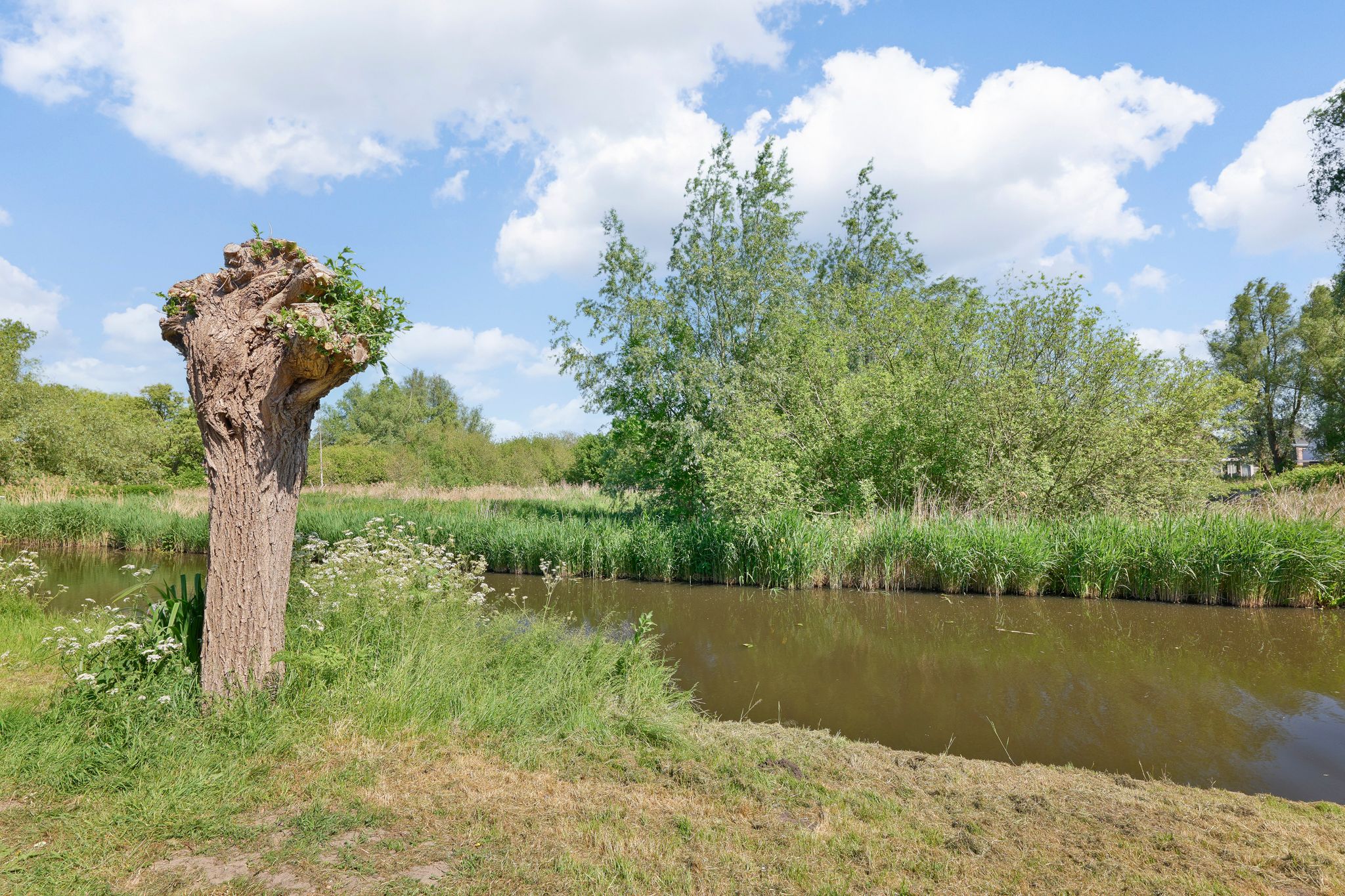 Foto 12 van Langebreek 15