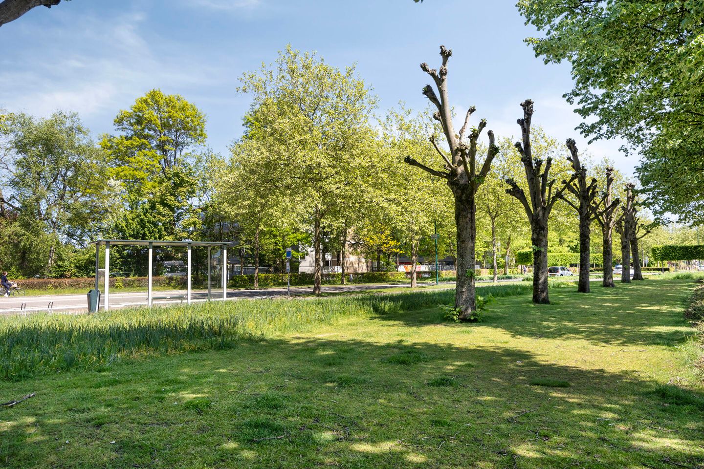 Foto 44 van Juliana de Lannoylaan 38