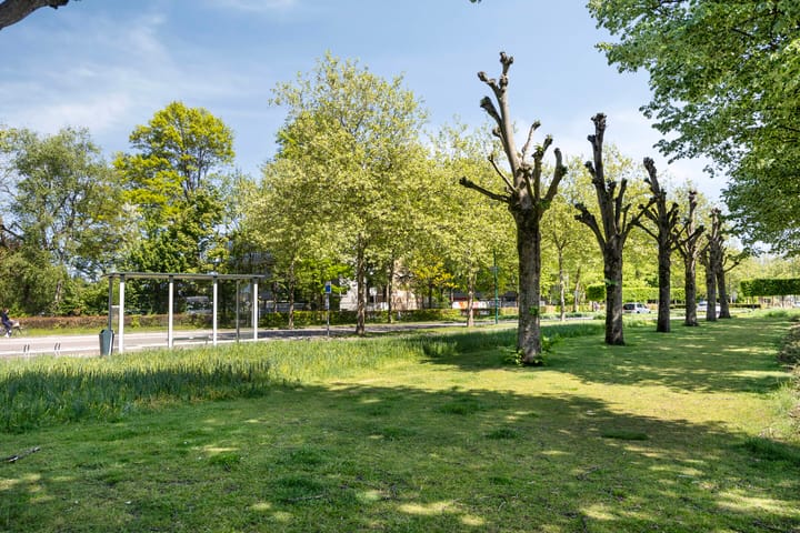 Foto 44 van Juliana de Lannoylaan 38