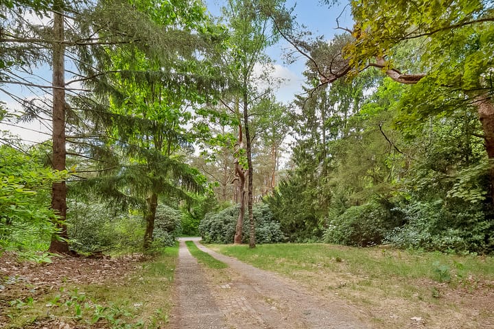 Foto 44 van Jozef Israëlslaan 7