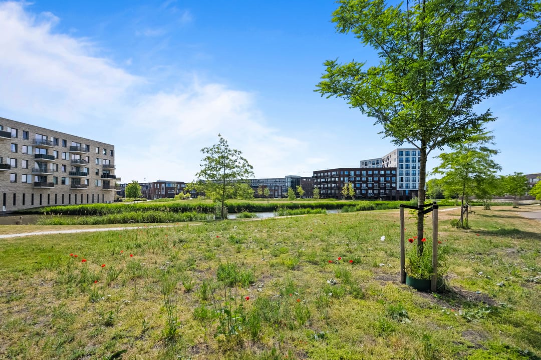 Foto 26 van Singelbuurt 63