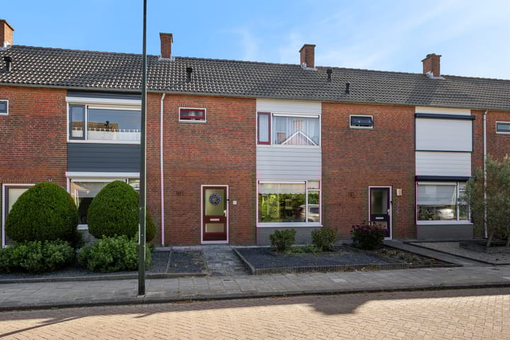 undefined main image