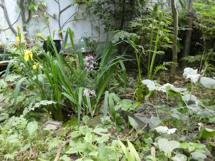 Foto 32 van Lange Beestenmarkt 154