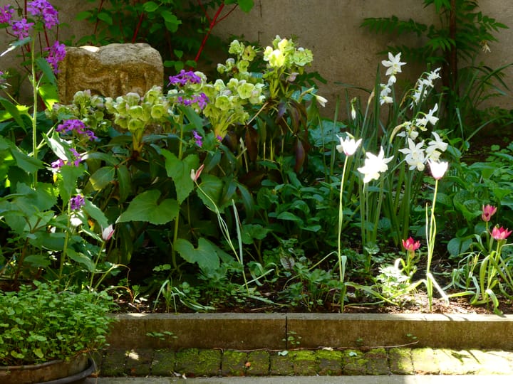 Foto 33 van Lange Beestenmarkt 154