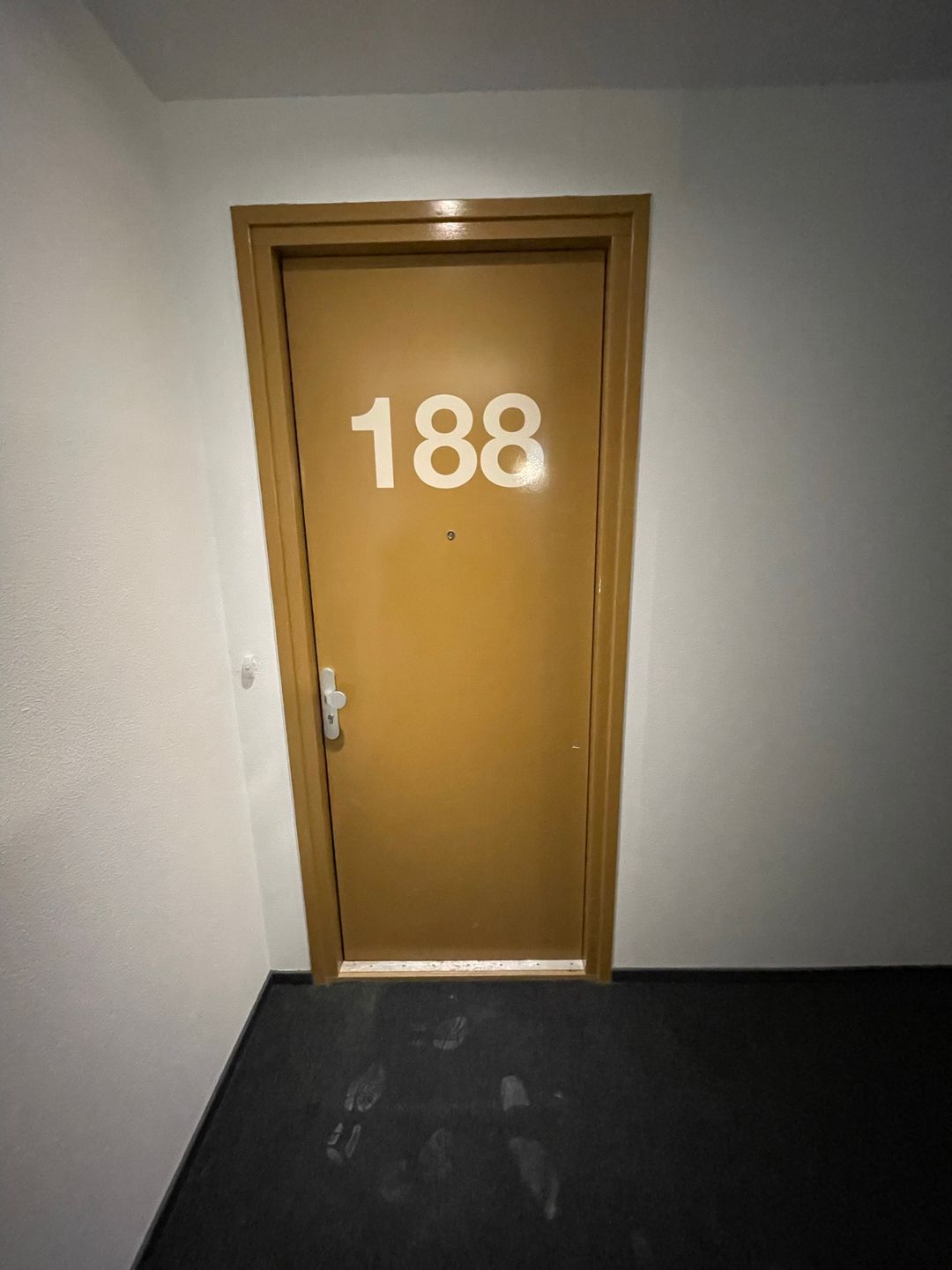 Photo 2 of Anna Blamansingel 188