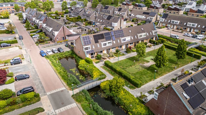 Foto 5 van Zandoogje 1