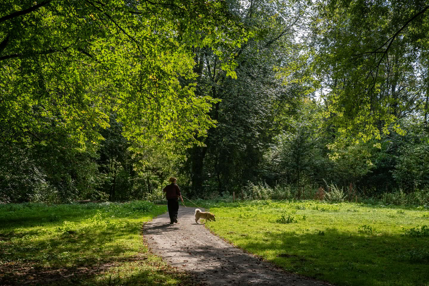 Foto 35 van Orteliusstraat 68-2