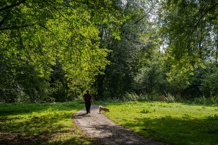 Photo 35 of Orteliusstraat 68-2