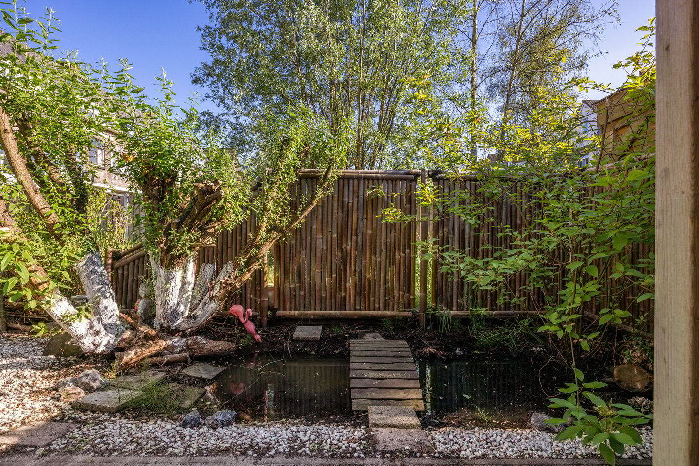 Foto 19 van Jan Willem Frisostraat 10